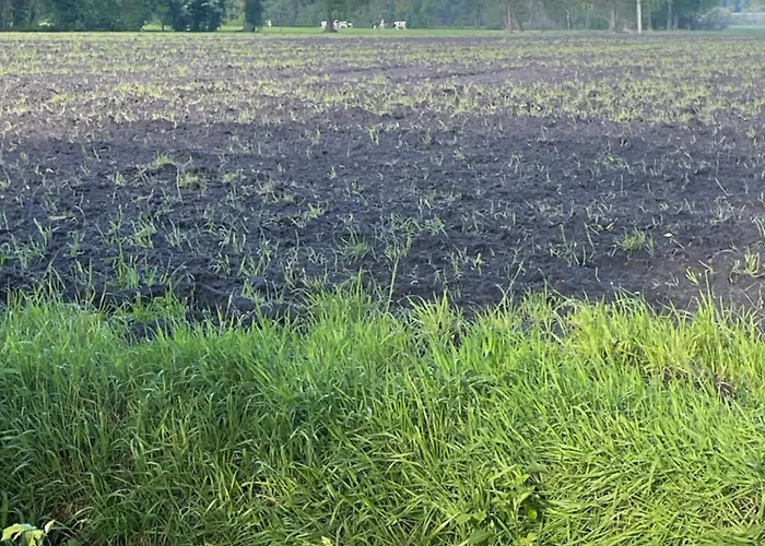 De Rode Zonnehoed Scherpenzeel (Gelderland)