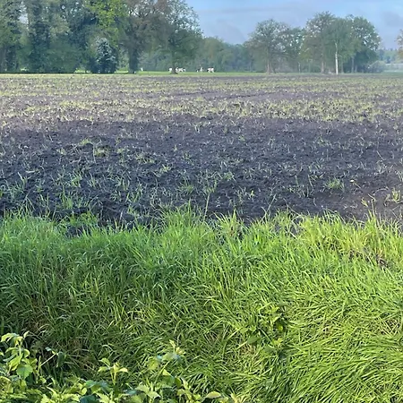 De Rode Zonnehoed Scherpenzeel (Gelderland)